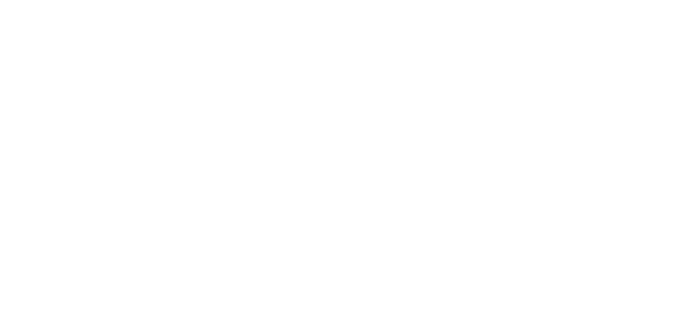 MetaLife Logo